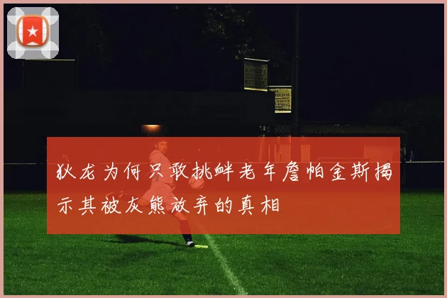 狄龙为何只敢挑衅老年詹帕金斯揭示其被灰熊放弃的真相